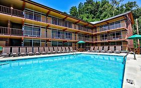 Wild Bear Inn Pigeon Forge Tennessee